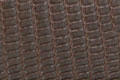 cf-order-mat-lizard