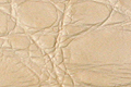cf-order-mat-croco