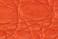 cf-order-mat-croco