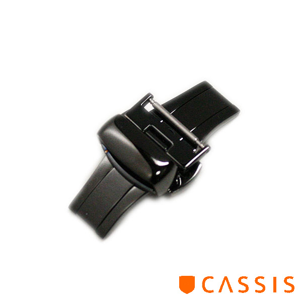 CASIS-DB