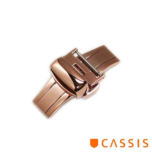 CASIS-DB