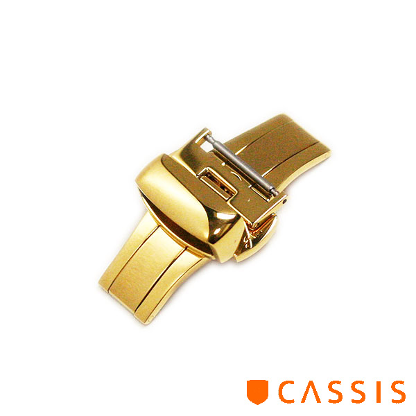 CASIS-DB