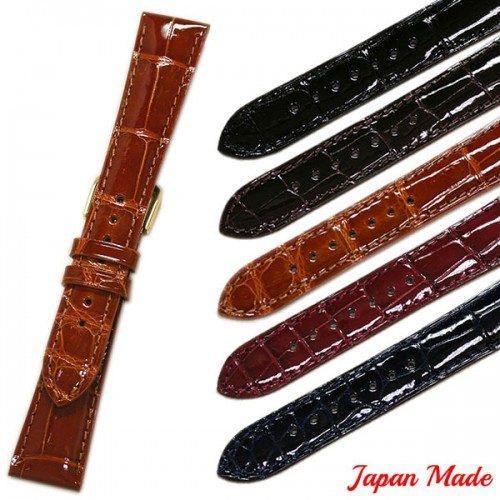 JAPAN-CROCO